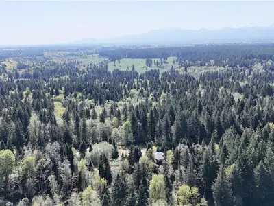 View 30