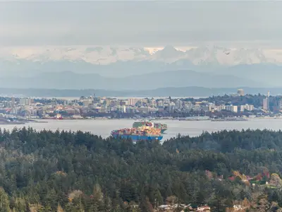 View 57