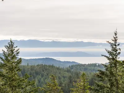 View 64
