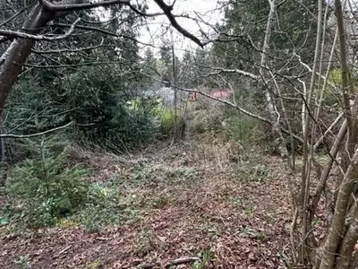 View 7