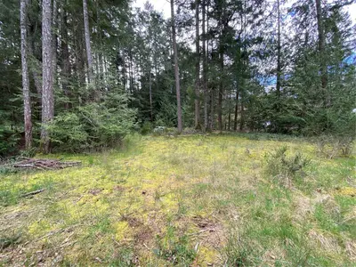 View 10