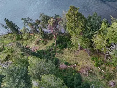 View 12