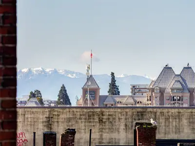 View 17