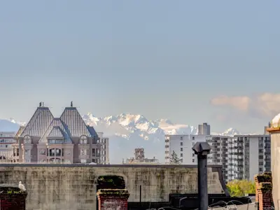 View 16