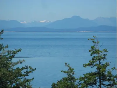 View 12
