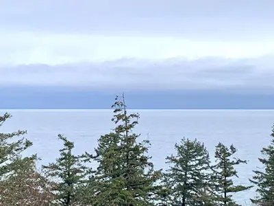 View 19