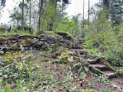 View 30