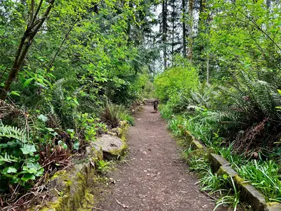 View 35