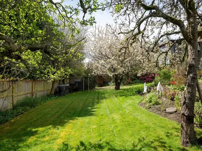 View 54