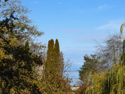 View 13