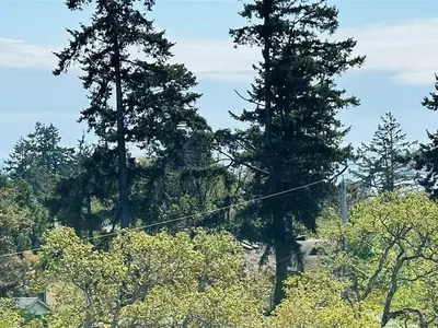 View 30