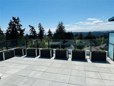 View 29