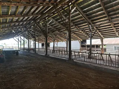 View 61