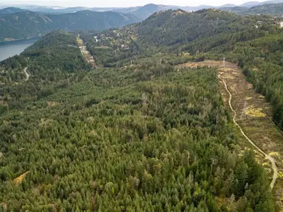 View 6