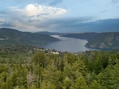 View 1