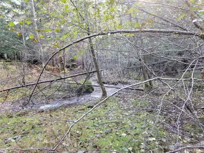 View 10