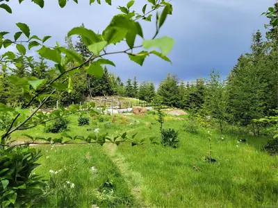 View 11