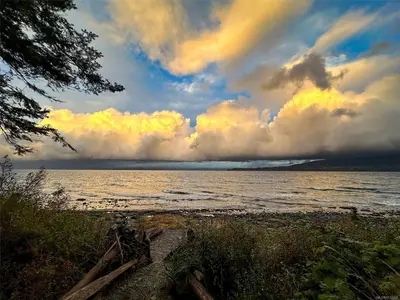 View 62