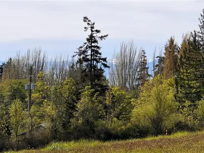 View 21