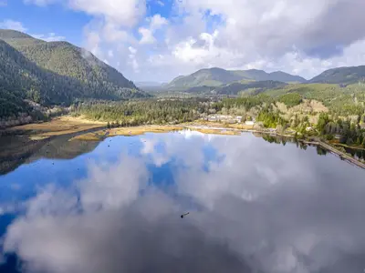 View 74
