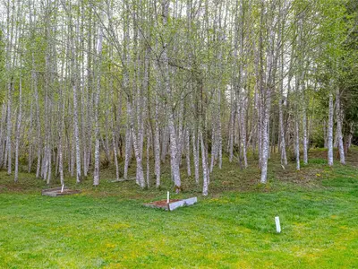 View 29
