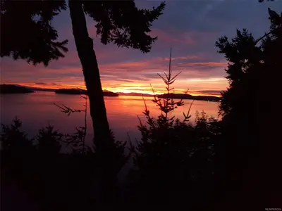 View 79