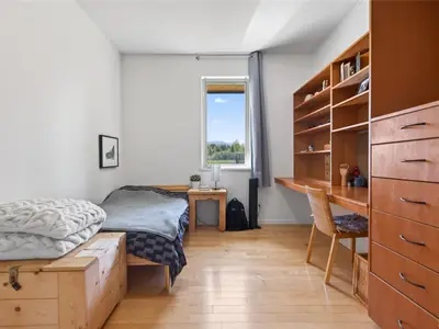 View 39