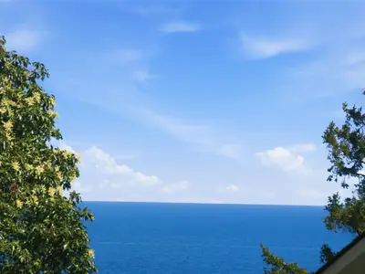 View 5