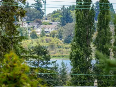 View 25