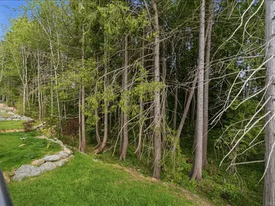 View 39