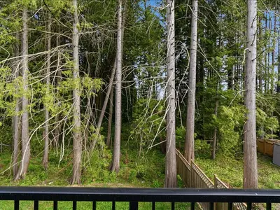View 25