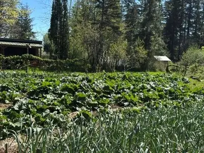 View 15
