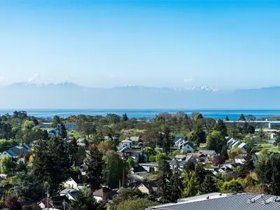 View 25