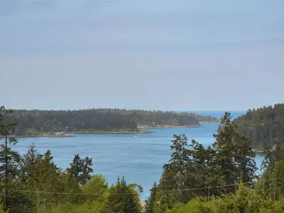 View 19