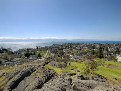 View 83