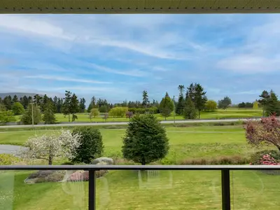 View 62