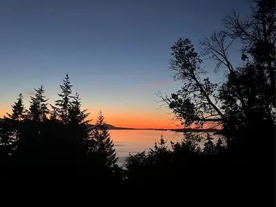 View 56