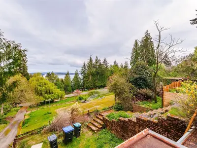 View 50