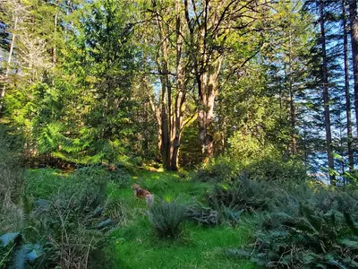 View 27