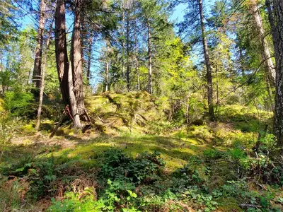 View 63
