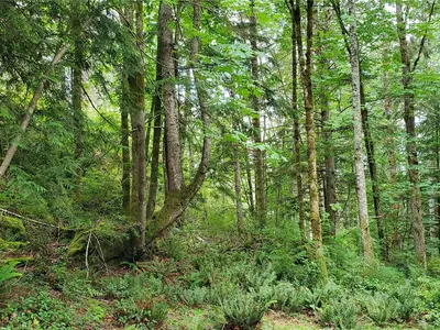 View 36