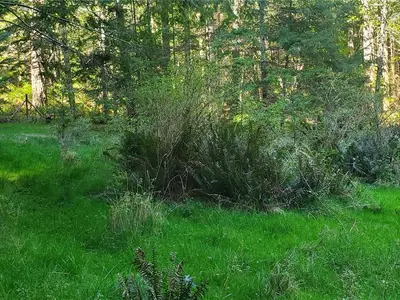 View 32