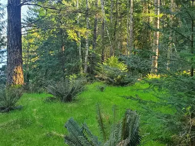 View 28