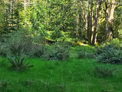 View 30