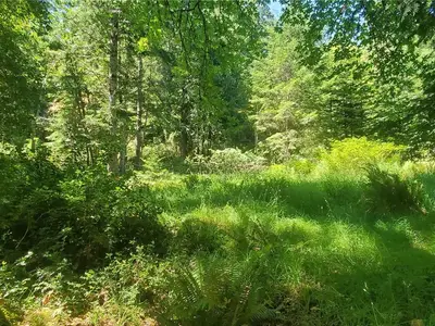 View 34