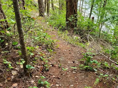 View 38