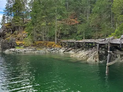 View 49
