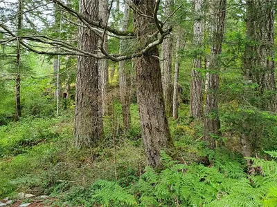 View 33