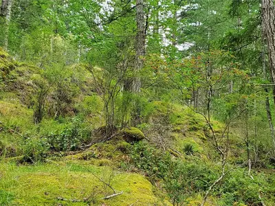 View 41