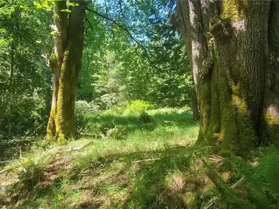 View 37